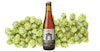 Recipe: De Ranke Guldenberg Tripel Image