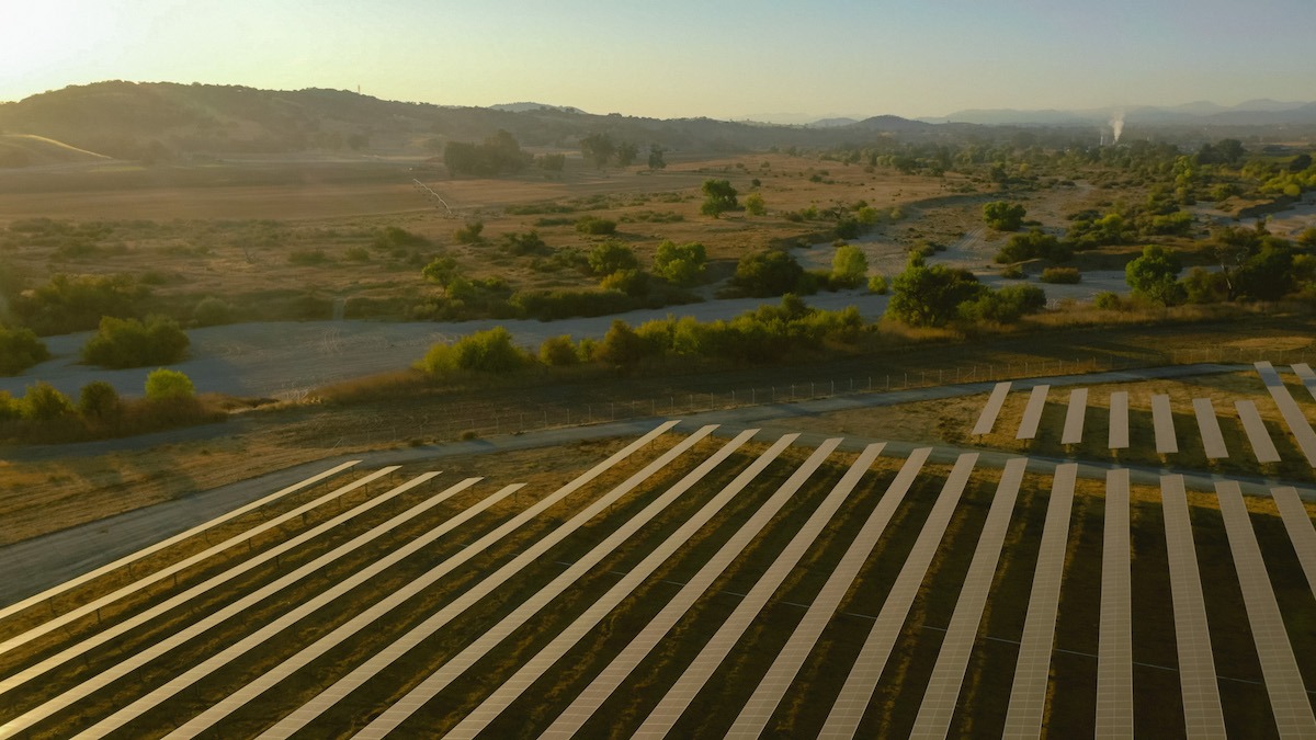 Firestone Walker Solar Panels