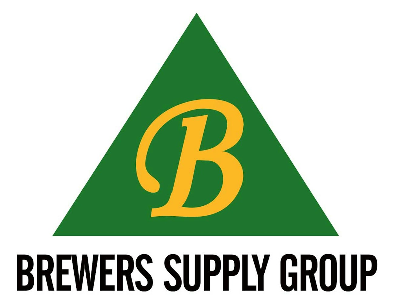 BSG-old-logo