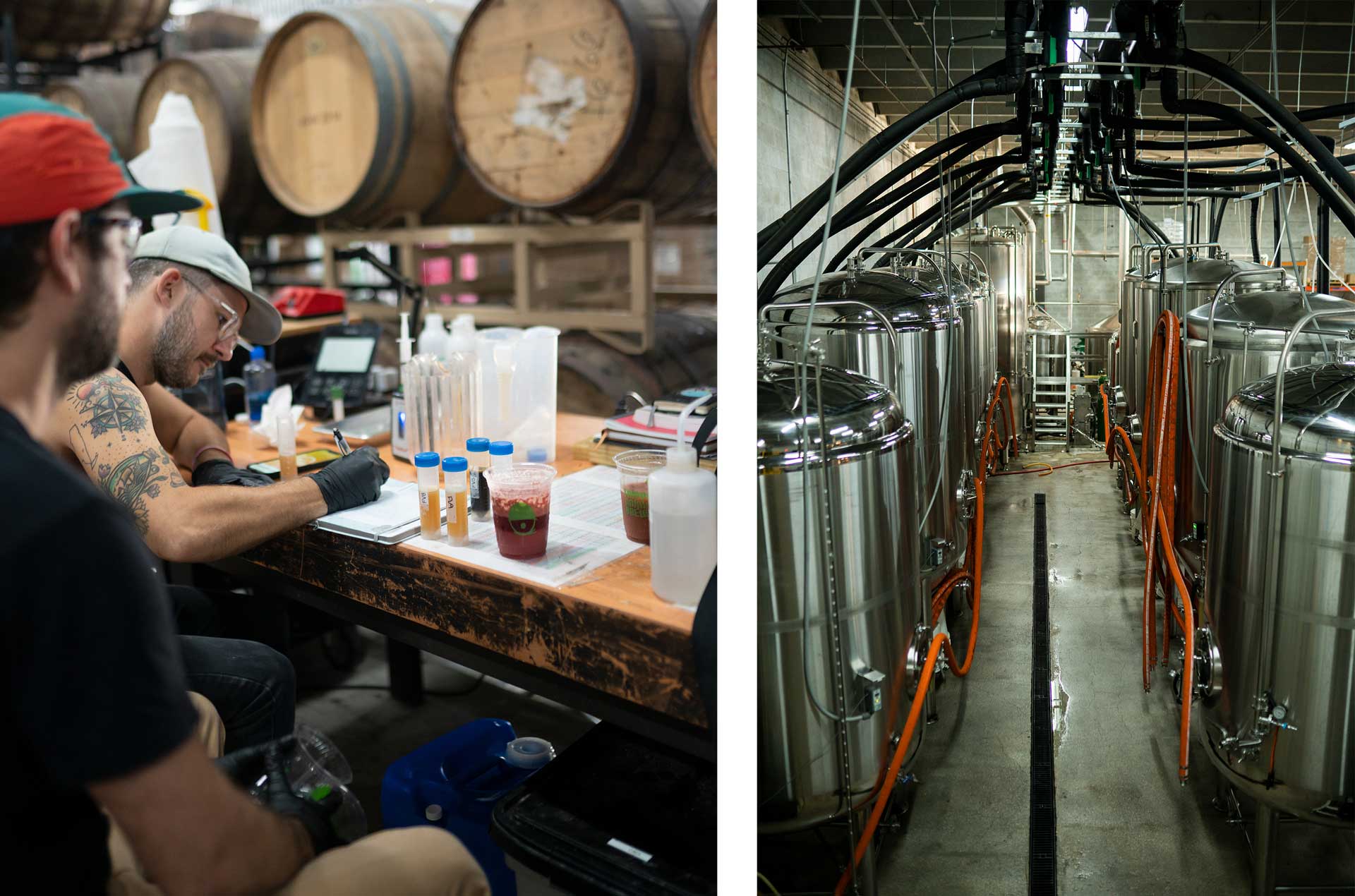 breakout-brewer-Tripping-Animals-3