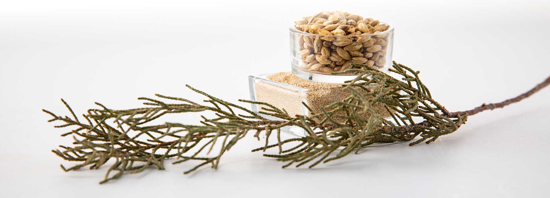 Style-School-Koduolu-2