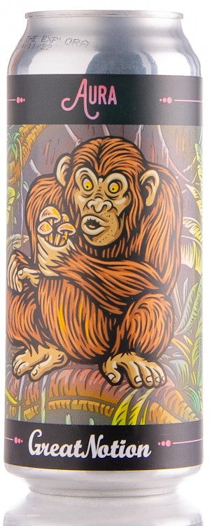 Great Notion Brewing Aura Image