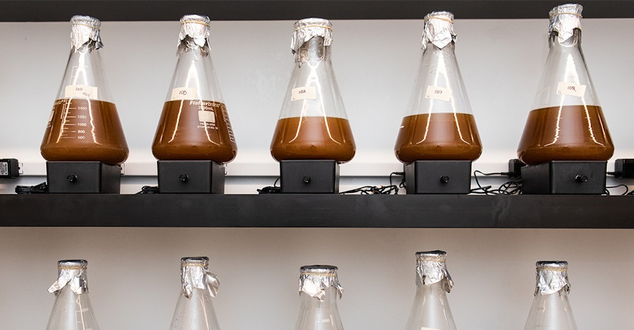 Video Tip: Appreciating the Intensity and Potential of High-Impact Aroma Compounds Image