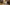 Recipe: North Park Sorta Mostly Dead Image