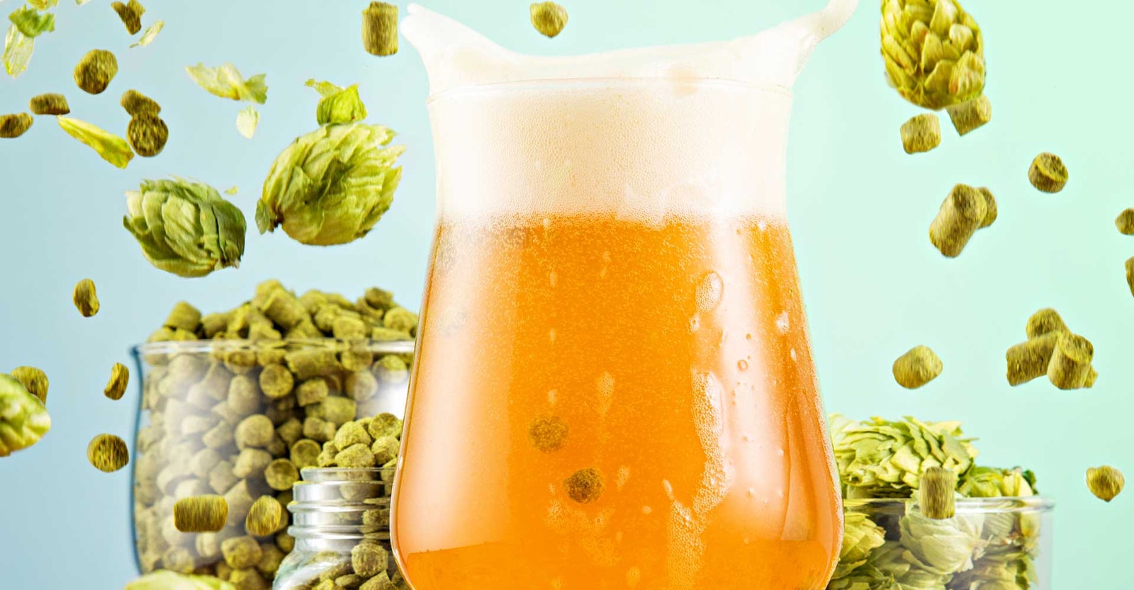 Pushing Hop Flavor to Its Outer Limits Primary Image