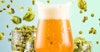 Pushing Hop Flavor to Its Outer Limits Image