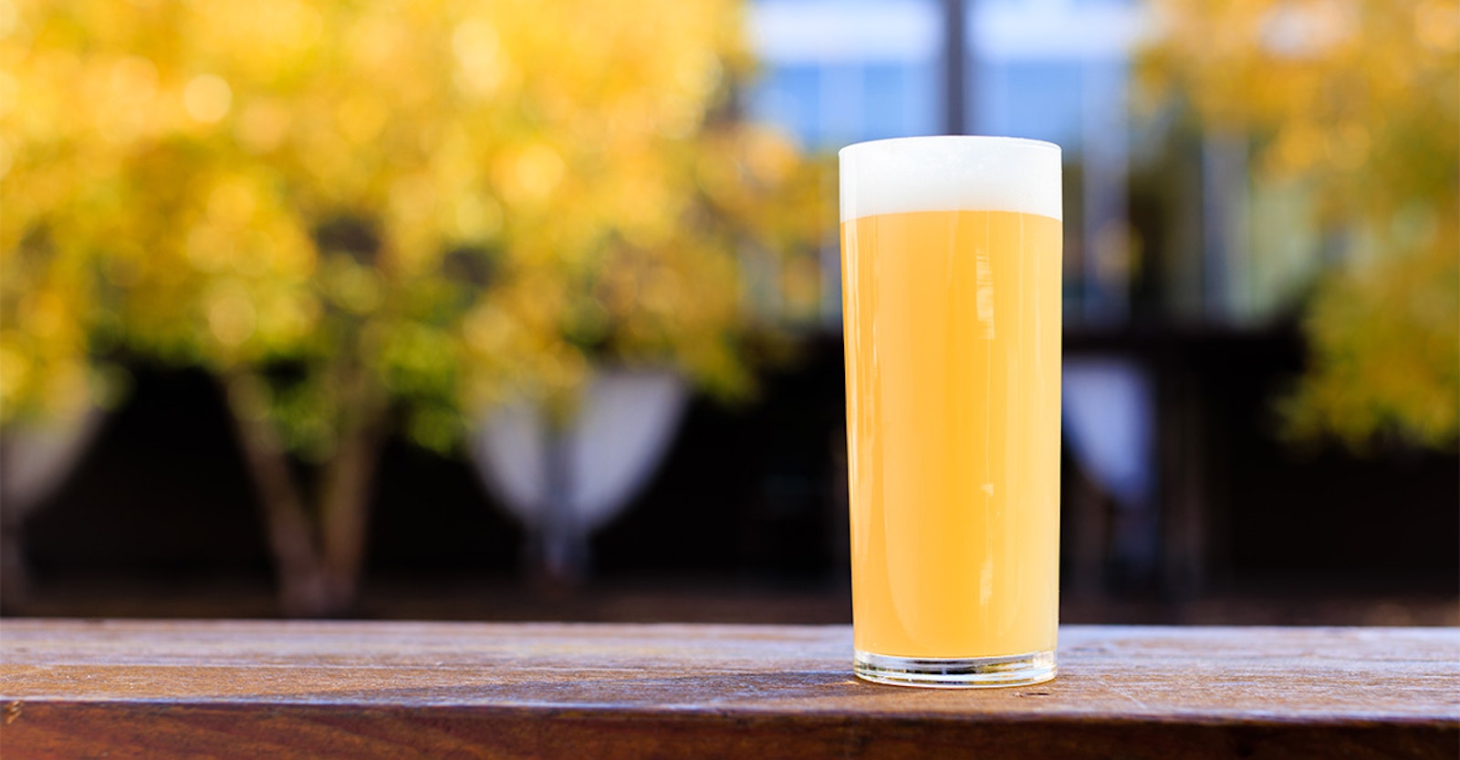 Recipe: BKS Clouds Double IPA Primary Image