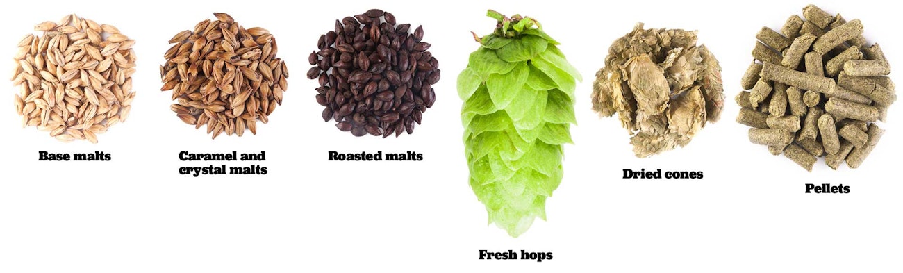 New to Brewing? Know Your Ingredients. | Craft Beer & Brewing