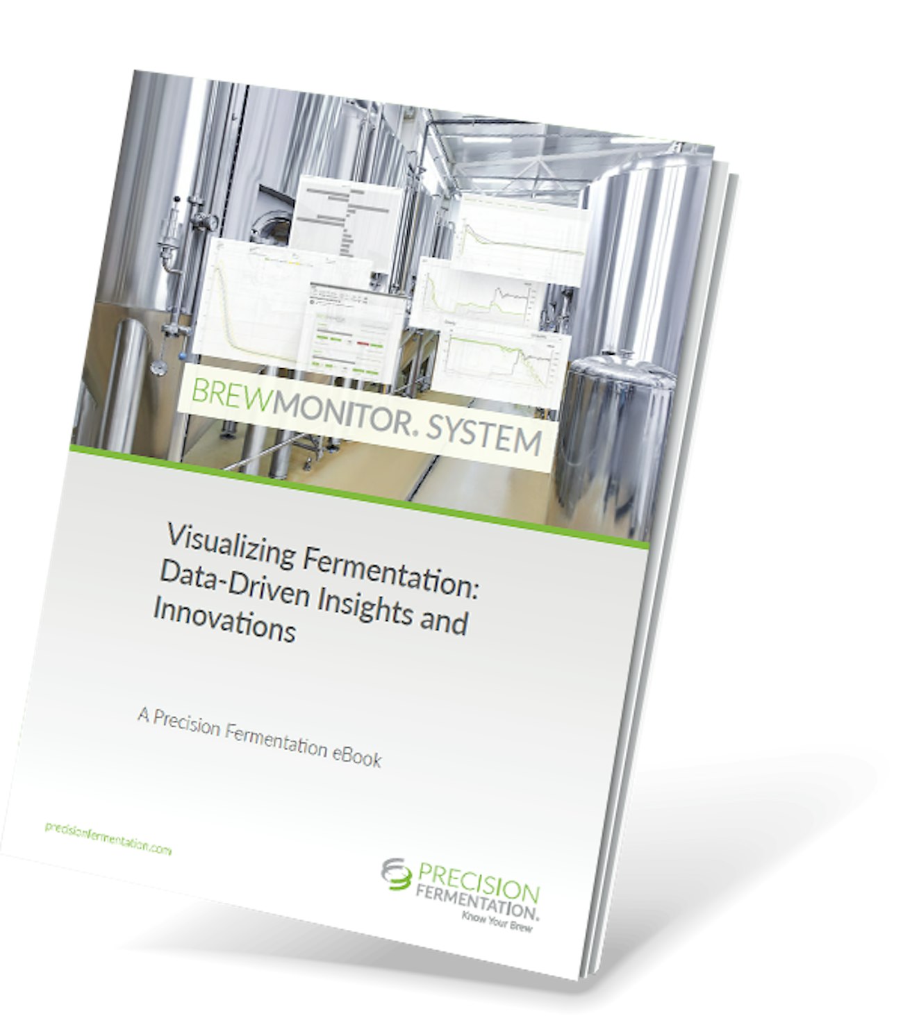 Precision Fermentation Ebook Visualizing Fermentation
