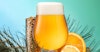 Flavor Fever: A New Swing at an OG IPA Image