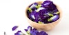 Special Ingredient: Butterfly Pea Flowers Image