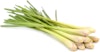 Special Ingredient: Lemongrass Image