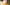 Brewer’s Perspective: The Origins of Luminous Beings Primary Image