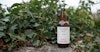 Recipe: Wisby Ölverk Dundar Gotlandsdricka Image