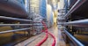The Purple Snake: A Hose Designed with Beer In Mind Image