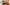 Cooking with Beer: Fried Chicken Thighs with Grits and Charred Corn–Red Onion Relish Primary Image