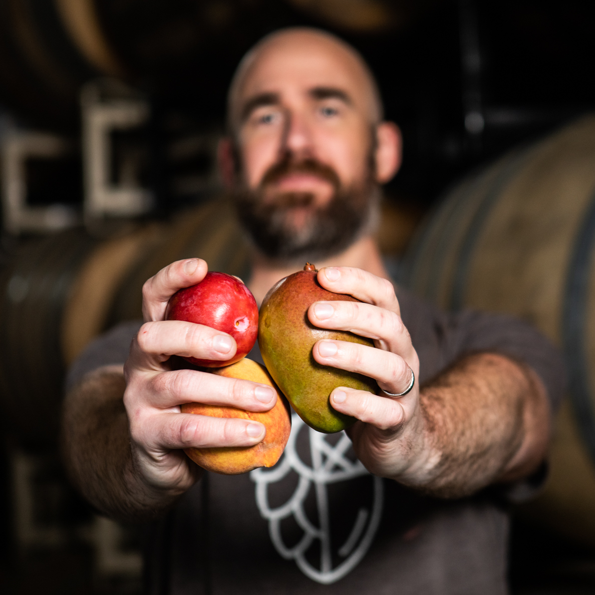 The Mad Fermentationist’s Practical Guide to Brewing with Fruit (Audio)