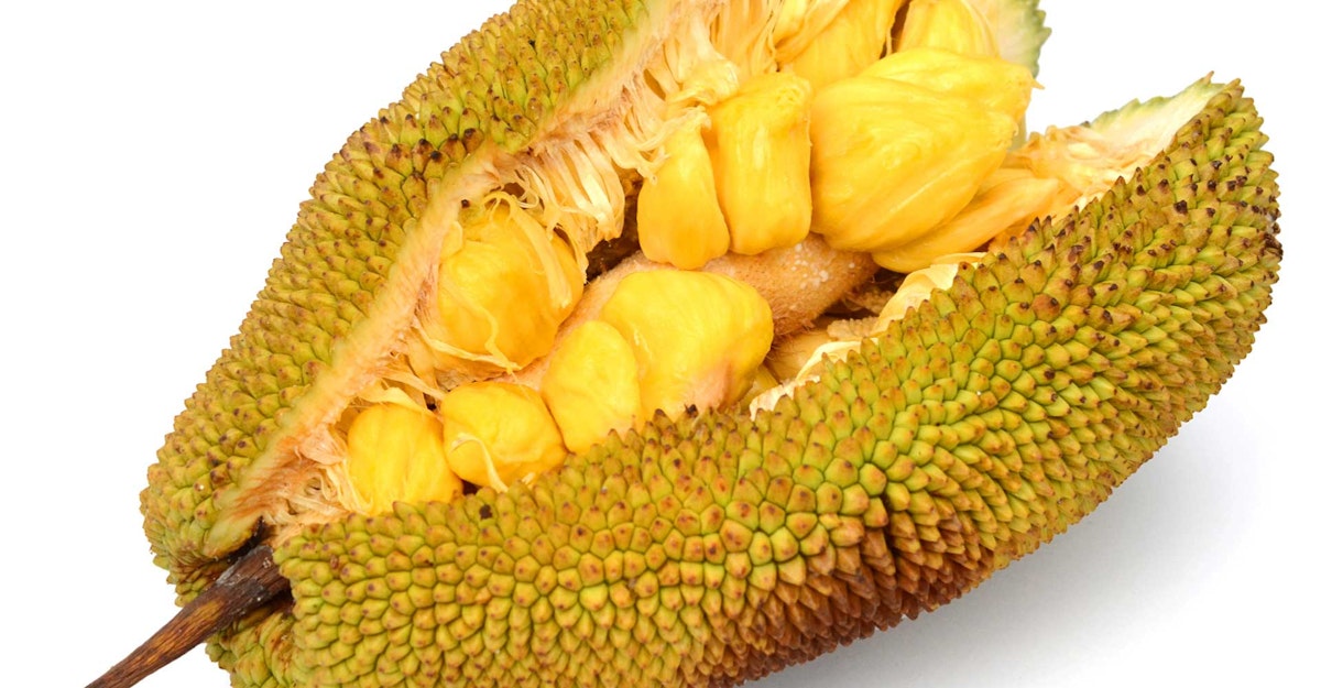 Special Ingredient Jackfruit Craft Beer & Brewing