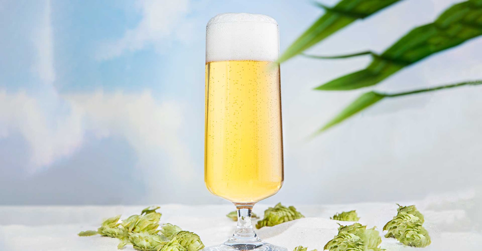 Writing the Rules of West Coast Pilsner (So They Can Be Broken) Primary Image