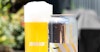 Recipe: Finback Crispy Town Image