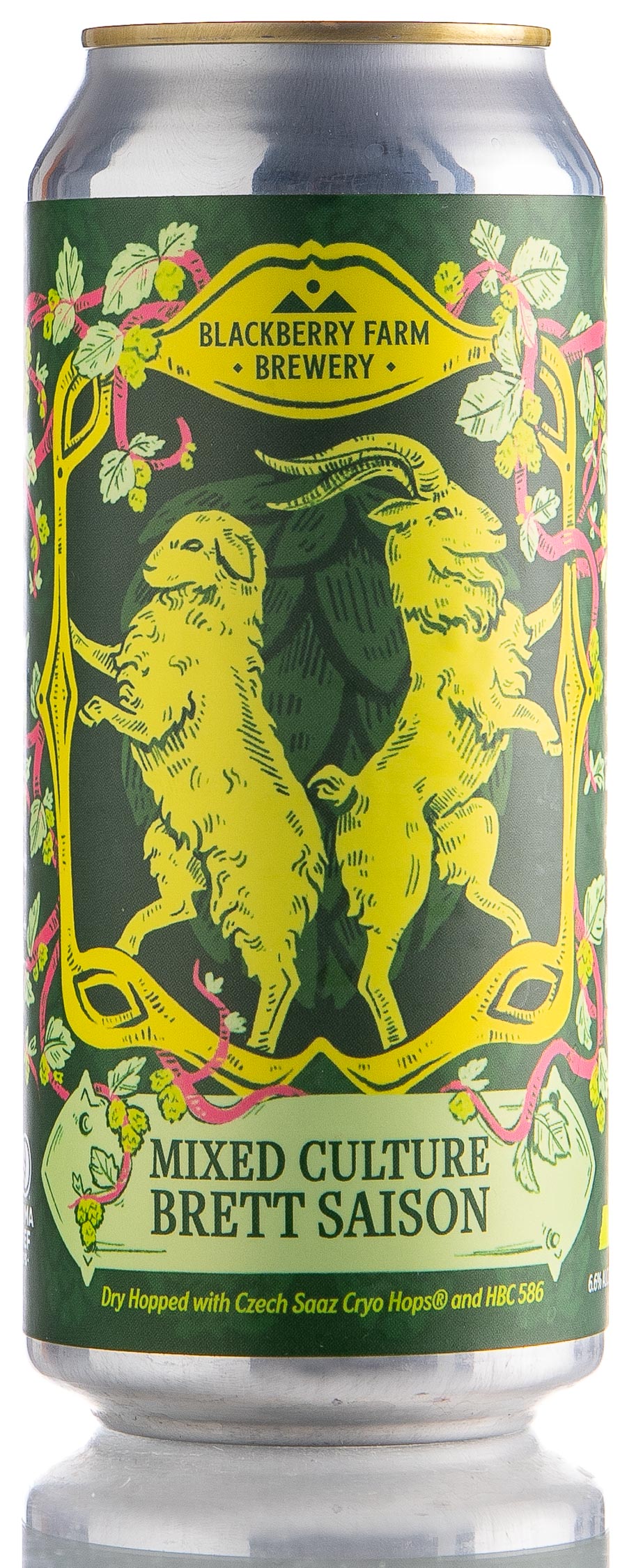 Mixed Culture Brett Saison