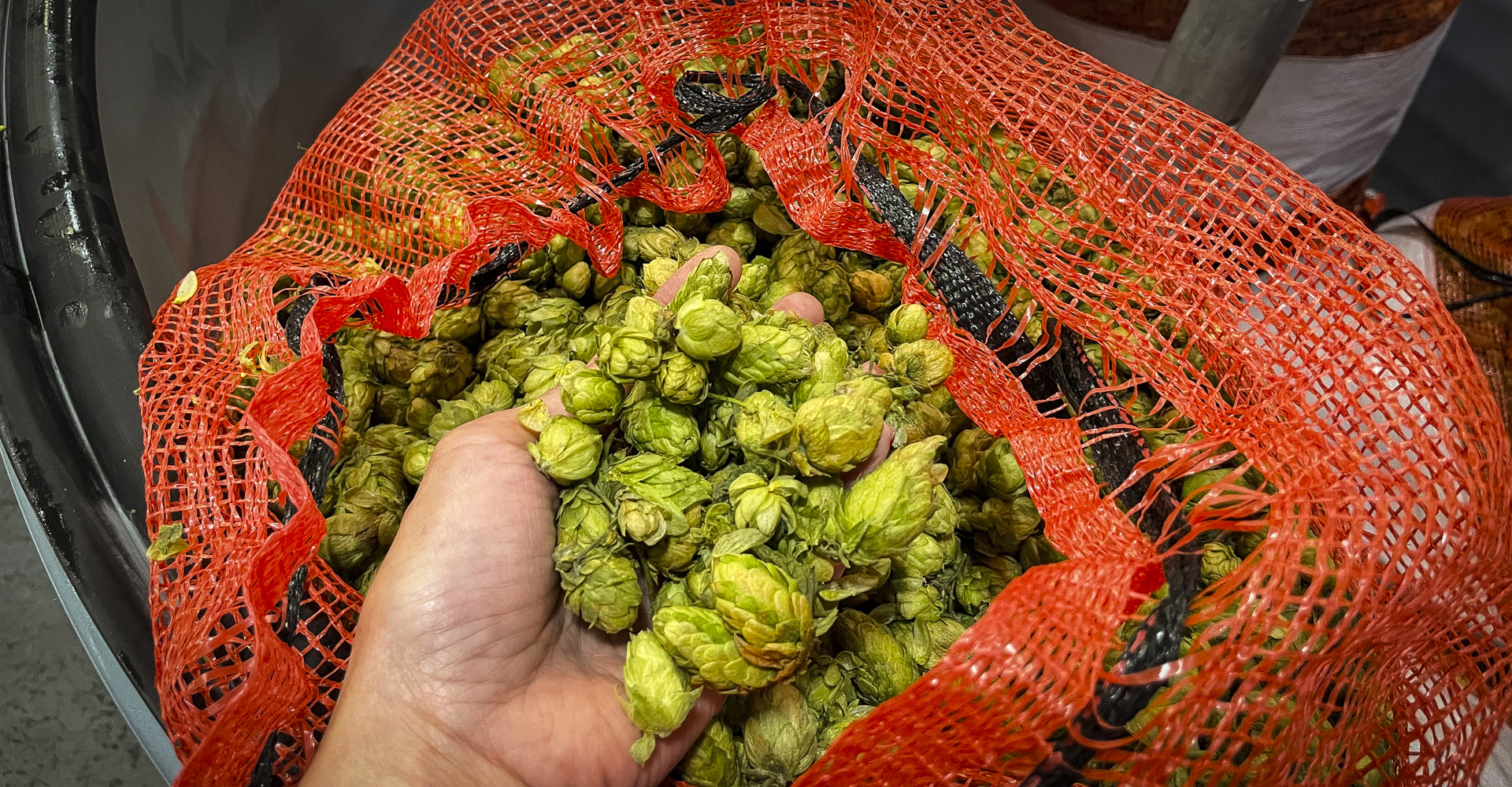 Podcast Episode 355: RipeLocker Enables a Fresh Approach to Brewing with Wet Hops