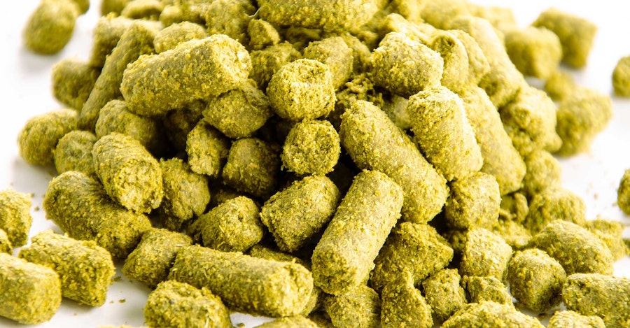 Fresher, Farther, Faster: Wet Hops, Beyond the Harvest Image