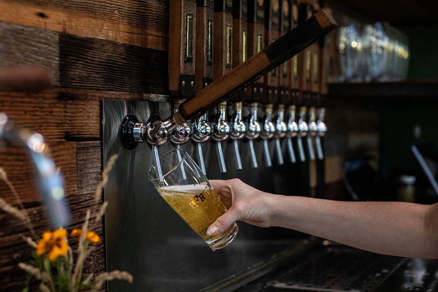 Hopping Delicate International-Style Lagers for Aroma and Balance | Video Tip Image