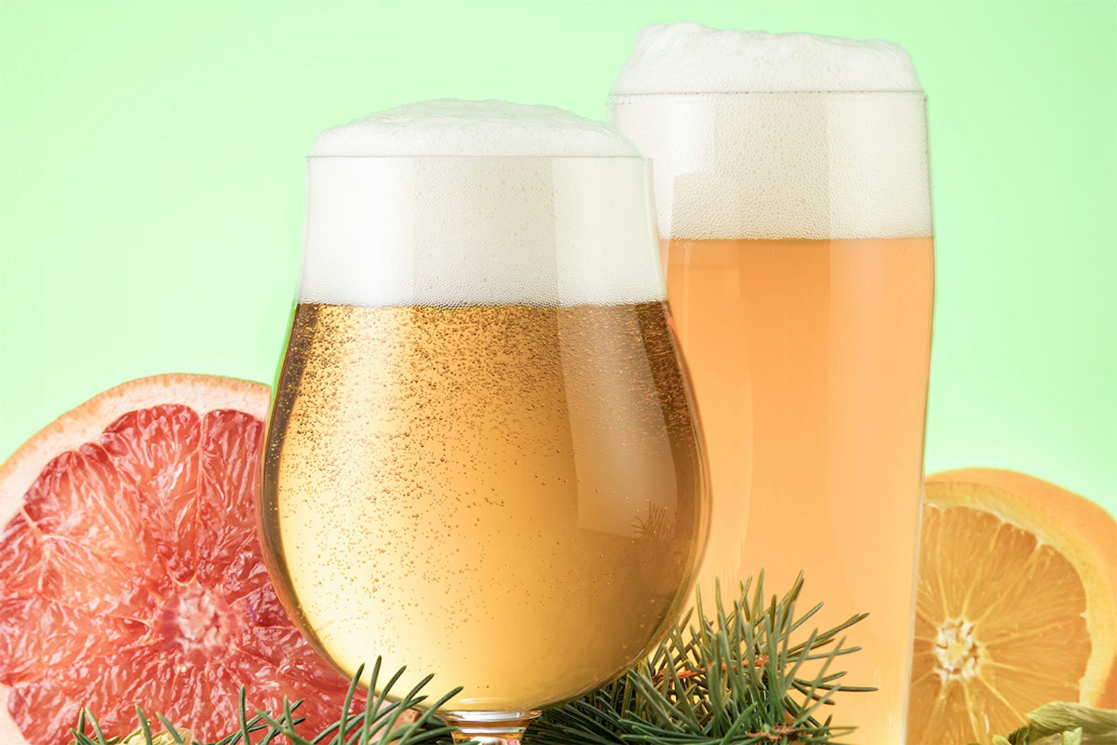 Brewing 21st Century IPA with 20th Century Hops Primary Image