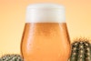 Try for Dry: Brewing IPAs That Make You Want More Image