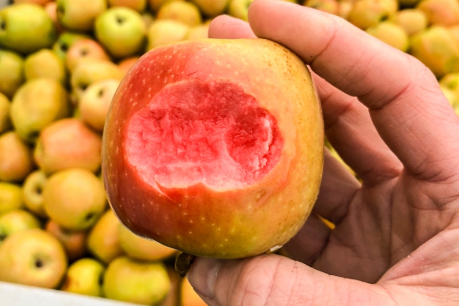 Recipe: Bauman’s Mountain Rose Single-Varietal Cider Image