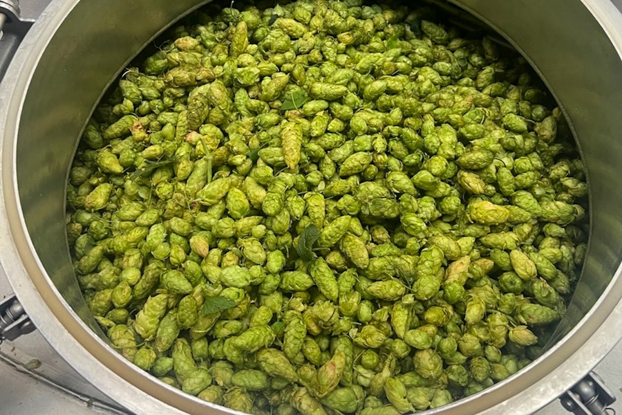 Recipe: Ruse Fresh-Hopped Collective Questions Image