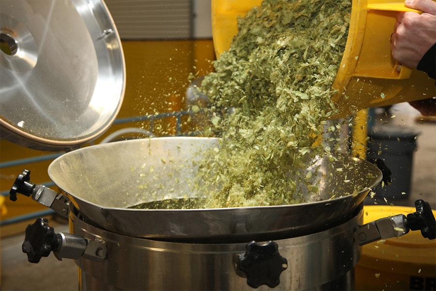 Brewing an Annual Comfort: Celebration Fresh Hop IPA Image