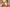 Podcast Episode 384: Eric Tennant of Benchtop Brewing Smooths the Edges of Foeder Lager and Barrel-Aged Barleywine Primary Image