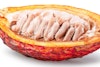 Pulp Nonfiction: The True Story of Brewing with Cacao Fruit Image