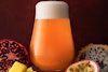 Catharina Power: Fruit Beer, Brazilian-Style Image