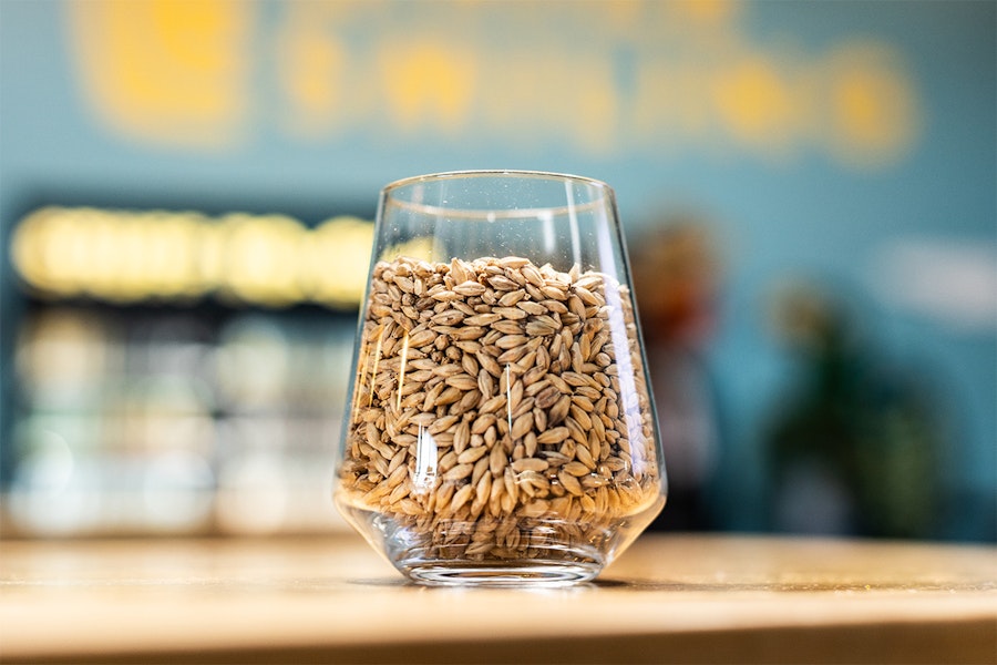 The Evolution of West Coast IPA | Video Tip Image