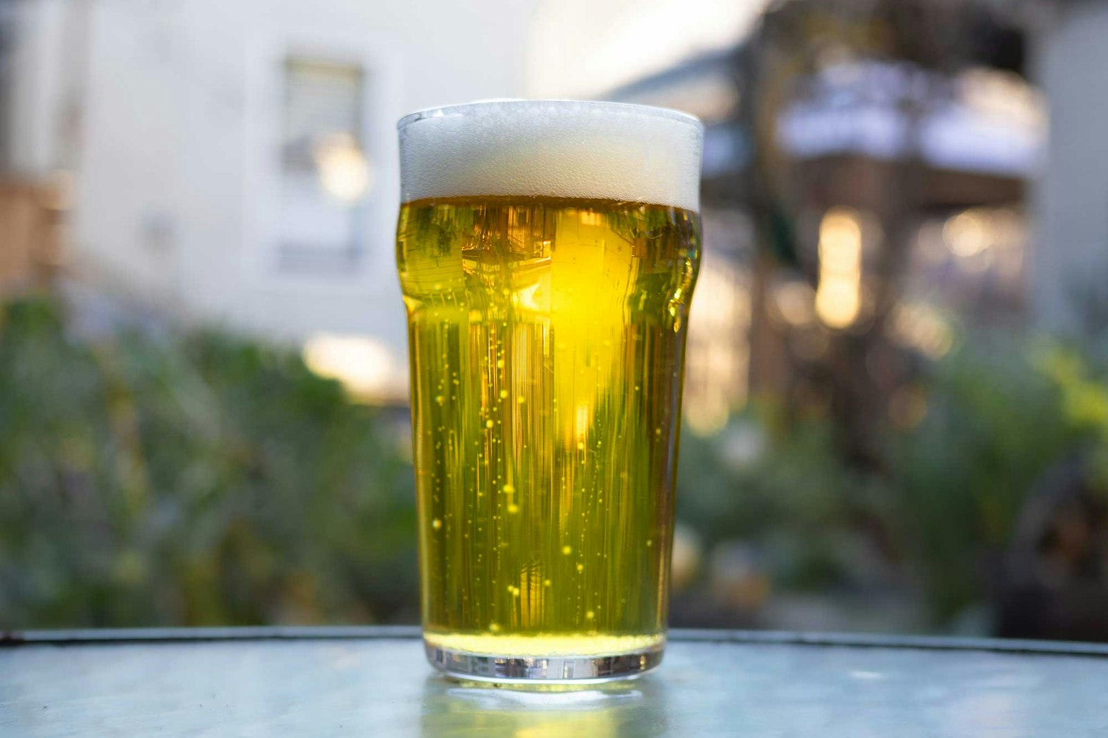 Recipe: Tim Sciascia’s NA West Coast IPA Primary Image