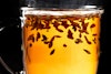 Kernel Knowledge: Get to Know Your Malts More Intimately Image