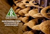 What’s So Standard about Rahr 2-Row? Image