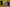 Recipe: Firstep Polymorph IPA Primary Image