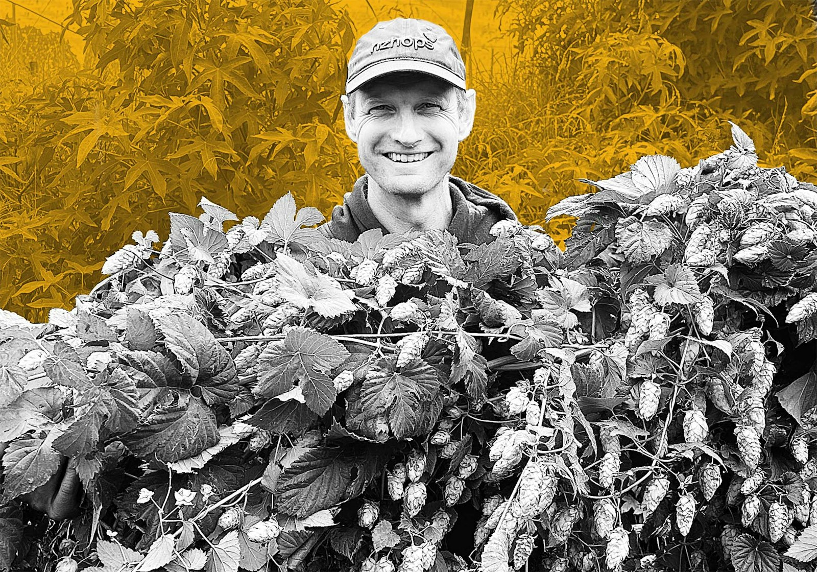 Podcast Episode 408: Brent McGlashen of Mac Hops is Harvesting Sunshine on the Family Farm in Motueka Primary Image
