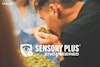 Better Brewing through (Sensory) Engineering  Image