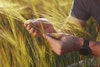 Local Resilience in a Volatile World: Building a Stable Supply Chain for Craft Brewing Image