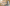 Reflections from the 2025 Craft Brewers Conference Primary Image