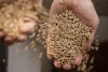 Brewing with the Farmer’s Malt Image