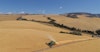 Get Ahead of the Season Ahead: Tight Barley Supply in 2022 Image