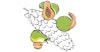 Ready to Tango? New Hop Varieties on the Way Image