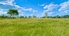 Terroir by the Ton: Regionally Adapted Malt Has a Future Image