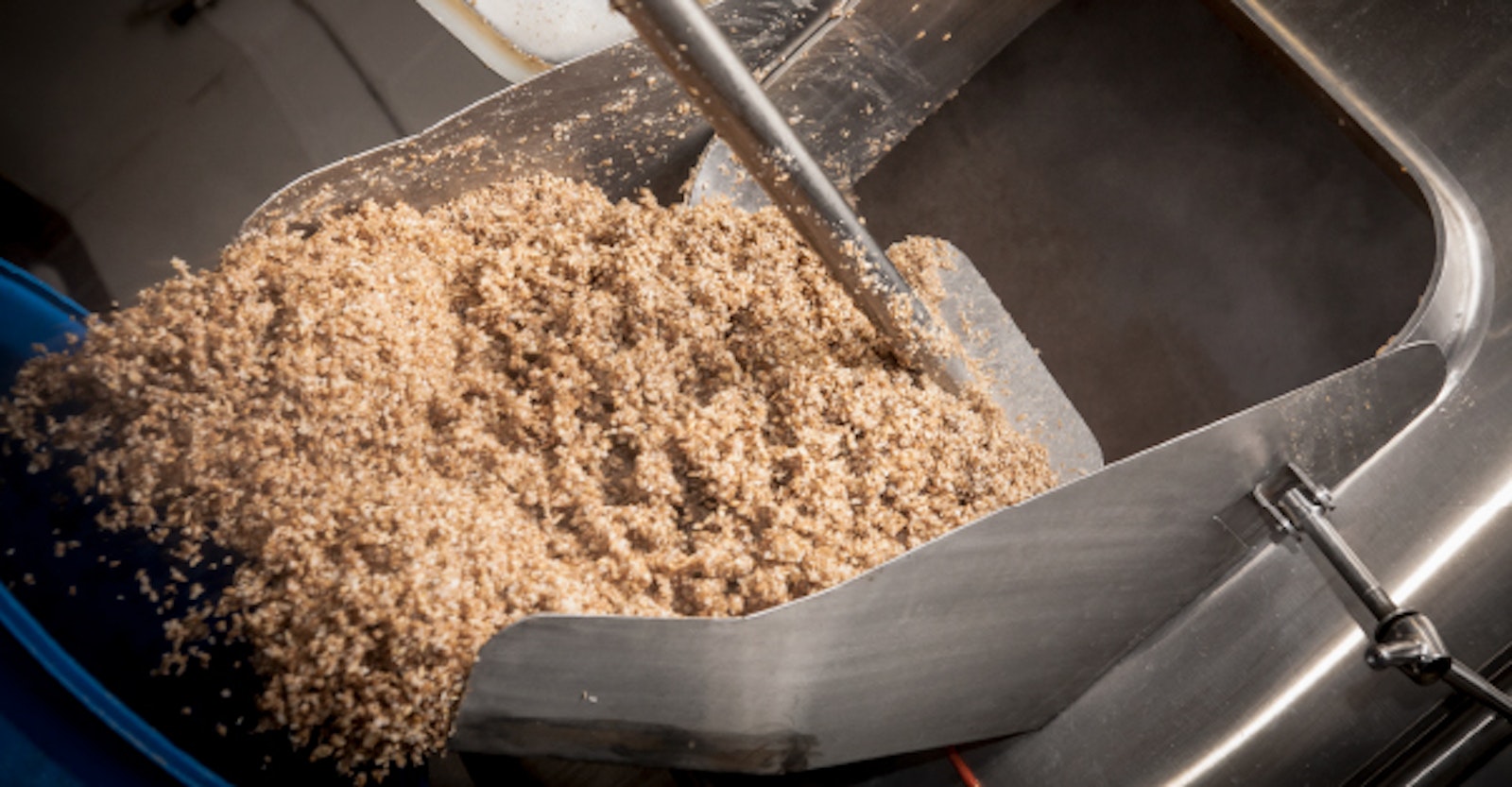 Do Spent Grains Represent a Hidden Revenue Stream? Brewing Industry Guide
